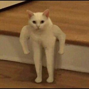 Meet your Posher, Dakota